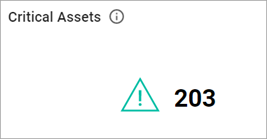 Critical Assets